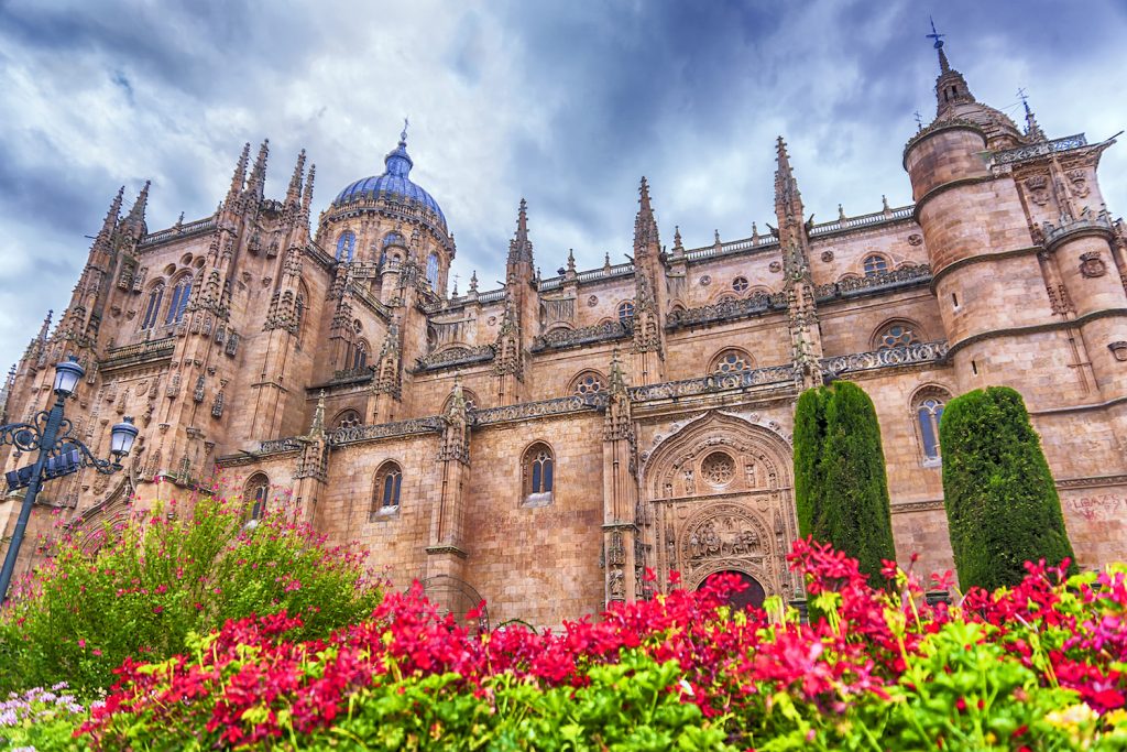 Tour 1 Full Day from Madrid to Salamanca +Avila